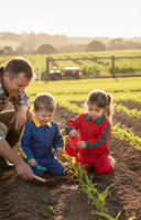 Workteam mono o buzo de trabajo de niño con Cuello Solapa a Juego con puños. Infantil. REVISAR TALLA DESCRIPCIÓN - details 2