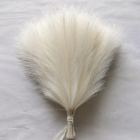 10PCS Faus Pampas Hierba Beige Para Decoración De Hogar Y Bodas Flores Artificiales Silken Small Para Vaso Estilo Bohemio - details 0