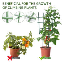 50Pc Hebilla De Conexión Para Trepaderes Plantas Metálica De Acero Inoxidable Soporte De Tubo Para Jardín Y Estufa Verde - details 5