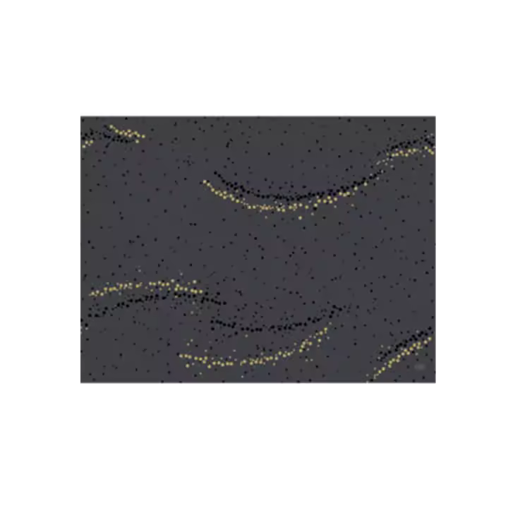 Mantelito Desechable (30 x 40 cm - Golden Stardust Black - 100 Uds) - 1