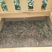 Alimentador de pájaros con diseño delicado y delicado fácil de llenar y limpiar para alimentar pájaros pequeños simultaneamente - details 1