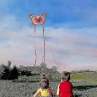 Butterfly Kite para juegos y actividades al aire libre - details 6