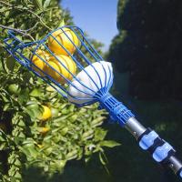 Cesta Profunda Para Jardín Herramienta De Recogida De Frutas Adecuada Para Manzanas Y Duraznos Dispositivo De Recogida En Granjas - details 3