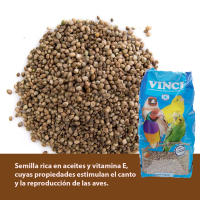 Vinci, Cañamon para Canarios, Semilla Rica en Aceites y Vitamina E y Estimula el Canto a los Canarios - details 1