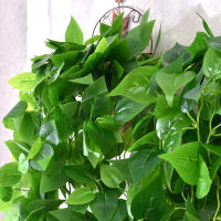 Planta Artificial De Hojas De Malvavisco 105cm/41in Verde Para Decoración De Ventanas Patios Jardines Interiores Exteriores - details 4