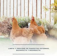 FINCA CASAREJO - Pack de Productos Limpieza y Desinfección del Gallinero - Previene Piojos y ácaros - Naturales - 1L/500 Ml - Finca Casarejo - details 2