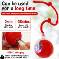 Juguete Interactivo Para Gatos Bola Automática Recargable Por USB Juego Inteligente Para Mascotas Material De Silicona - details 2