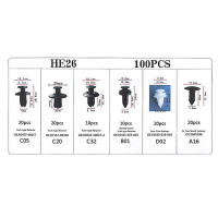 100pcs Clip De Automóvil Punzón De Parachoques Empuñadura De Tornillo Para Panel De Puerta Y Bumper Empaquetado En Caja/ Bolsa - details 7