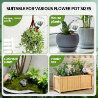 Bulbos De Riego Automático Para Plantas 500ml Globos De Vidrio Inserto De Plantador Sistema De Riego Por Drip Effortless Self Watering Device - details 5