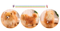 Nueva Premium Peluche Lindo Pomeranian Perro Juguetes Real Vida Muñeco De Peluche Suave Mascota Para Niñas Niños Regalo Encantador - details 5