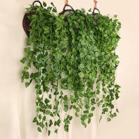 Planta Artificial De Enredadera Verde Para Decoración De Pared Y Jardín Estilo Rattan Hojas De Iva Para Bodas Y Fiestas DIY - details 1