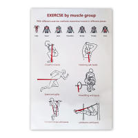 Banda de resistencia de látex para ejercicio, banda elástica de alta resistencia para entrenamiento, Pilates, equipo de Fitness - details 10
