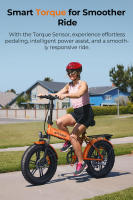 Bicicleta Eléctrica Plegable ENGWE EP-2 Boost, Motor 250W, Batería 48V 13Ah, Neumáticos Anchos  20*4.0 pulgadas, Máxima 25 km/h, Autonomía 120 km, Freno Disco Mecánico Delantero y Trasero, Sensor de Par, Suspensión Delantera, Shimano 7 Velocidades - Gris - details 2