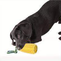 Juguetes Para Masticar Para Perros Juguetes Interactivos Para Limpieza De Dientes Como Cepillo Para Masticadores Agresivos Medianos Y Grandes - details 11