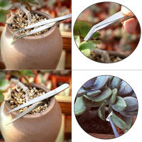 Juego De Herramientas De Jardinería 12PCS Para Plantas Miniatura Fairy Transplantación De Suculentas Y Bonsái Herramientas Manuales De Jardinería - details 7