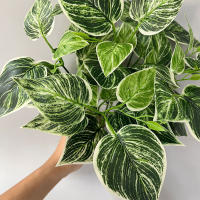 35cm Planta Artificial De 7 Cucharas Hojas De Planta Falsa Scindapsus Para Decoración De Jardín Oficina Casa Y Hotel Material Plástico - details 11