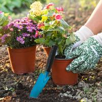 Kit de herramientas de jardinería al por mayor: Pala puntiaguda, desmalezadora y tijeras para Flores. - details 3