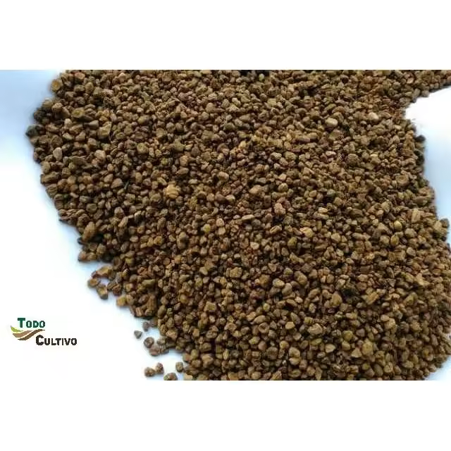 Hueso de Aceituna Exfoliante. 25 Kg. - 1