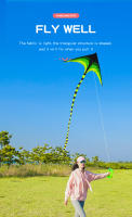 YongJian Kite Delta Grande Para Niños Y Adultos Fácil De Volar Con Cola De 6m Juguete De Exterior De Poliéster Triangular - details 5