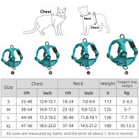 Juego De Correa Y Enjambre Para Gato Prueba De Fuga Ajustable Y Respirable Para Pequeños Y Medianos Perros Y Gatos Con Cuerda De Pecho Para Gatos Chicos - details 0