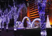 Luces De Navidad Impermeables 5M Guirnalda De Puerta a Puerta Para Exterior Decoración De Jardín Y Pasadizos Longitud Variable 0.4-0.6m - details 9