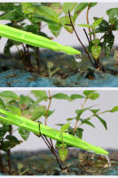 Kit De Riega Por Goteo Micro 50PCS Verde Con Emisores Para Caña De 3/5mm Para Jardín Bonsái Ahorro De Agua Y Eficiencia - details 3