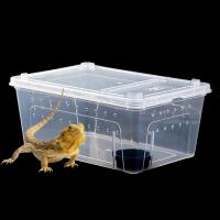 Caja De Cría De Reptiles Transparente Terrario Para Tortugas Geckos Sapos Transporte De Animales Habitaci\u00f3n Plástico - details 4