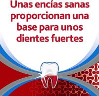 Parodontax Complete Protection Original, Pasta de Dientes con Flúor de Uso Diario, Ayuda a Detener y Prevenir el Sangrado de Encías, Pack 4 Uds x75 ml【ROUA】 - details 7
