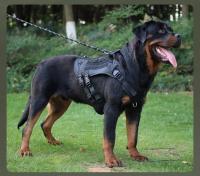 Correa Táctica Para Perros Grandes Con Cremallera Retráctil Y Correa De Hombro Gran Capacity Para Pitbull Accesorios Para Perros - details 5