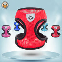 Juego De Correa Para Perros Y Gatos Transpirable Para Paseos En Verano Equipamiento Para Mascotas De Pecho Y Espalda Adecuado Para Perros Pequeños - details 4