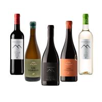 PACK DEGUSTACIÓN ANTONIO SERRANO VITICULTOR, VINOS BLANCOS, TINTOS - details 5