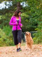 Correa de adiestramiento para perros edipets - details 1