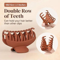 Pinza Para El Cabello De Doble Diente Para Mujeres Simple Y Mate ABS Con Pequeñas Garras Y Decoración De Diadema Pinza Para El Cabello - details 3