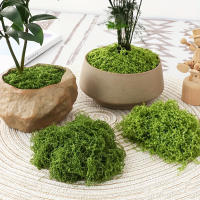 Moss Artificial De Jardín 20g/0.7oz Para Decoración Interior Y Exterior De Plantas Verdes Camuflaje De Mini Escenario De Jardín - details 9
