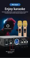 Amplificador De Sonido HiFi 200W + 200W Con Entrada Dual Para Microfono Para Karaoke Y Reproductor De Música Para Hogar Y Coche 220V/12V - details 7