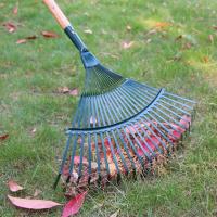 Rake De Jardín Con 22 Dientes Herramienta Agrícola Sin Mango Verde O Negro Acero De Carbono Alta Herramienta Para Rascar Y Recoger Hojas - details 5