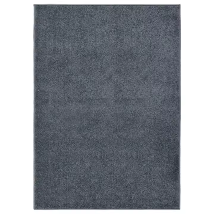 vidaXL Alfombra de pelo corto gris antracita 140x200 cm - 1
