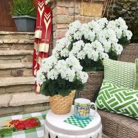 Plantas Artificiales Silken Begonia Para Bodas Decoración De Hogar Y Navidad Regalo DIY De Flores Silken En Vaso Para Ventanas Y Paredes - details 20