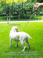 Correa Para Mascotas 1 Pieza Fácil De Control Y Cómoda Para Sostener Seis Colores Correa Básica De Poliéster Para Perros De Todas Las Estaciones - details 2