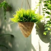 8pcs Plantas Artificiales De Ferne Persa Decoración De Habitaciones Interiores Y Jardines Falsas Hojas Verdes Ajustables Para Bodas Y Fiesta - details 4