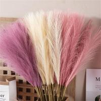 Pack De 10 Pampas Artificiales Imitación De Caña De Paja Para Decoración De Hogar Y Eventos - details 5