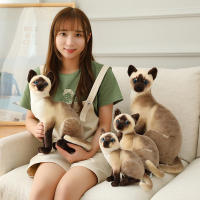 Muñeco De Peluche Siamese Realista Para Decoración Del Hogar Y Regalo Para Niñas Juguetes De Mascotas Corto De Algodón Relleno De Poliéster - details 8