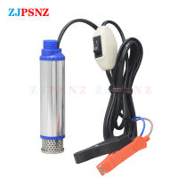 Bomba Eléctrica Portátil Para Coche 260W 12/24V Para Diesel Aceite Agua Vino Transferencia Camping Pesca Motor Submersible 180W 100W Azul - details 10