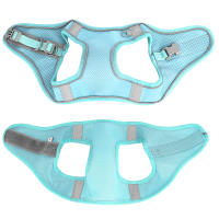 Harnés De Nylon Para Perros Y Gatos Pequeños Y Medianos Conjunto De Correa Reflector Y Harnés De Malla Para Verano Ajustable Para Chihuahua - details 3