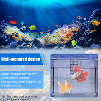 Caja De Cría De Acuario Acrílica Con Tapa Desmontable Para Pequeños Peces Y Cangrejos Incubador De Peces Con Malla Transparente Para Aislamiento - details 1