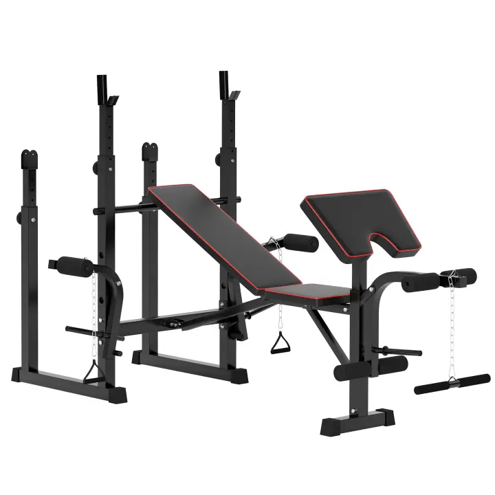 SPORTNOW Banco de Musculación Plegable Banco de Pesas con Soportes para Barra Regulables y Respaldo Ajustable para Entrenamiento Completos de Cuerpo en Casa Gimnasio Negro - 1