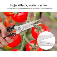 Tijeras De Podar De Acero Inoxidable Para Jardín Y Frutas a Prueba De Resbalones Para Podar Ramales Y Plantas En Macetas Herramienta De Poda Para El Hogar - details 0