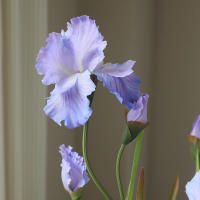 Rama De Iris Artificial Con 3 Cabezas Flores Silken Para Decoración De Mesa De Fiesta Decoración De Hogar Para Bodas Y Aniversarios - details 4