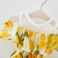 Vestido De Verano Para Bebé Niña Con Estampado Completo Hombros Descubiertos Malla Lace Vestido De Princesa Playa Chifón Vestido Para Niñas De 0 a 3 Años - details 5
