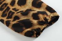 New Fashion Autumn Winter Women's Leopard Print Dress V-Neck High-Waisted Asymmetrical Skirt Casual Ankle-Length Chiffon Dress - details 7